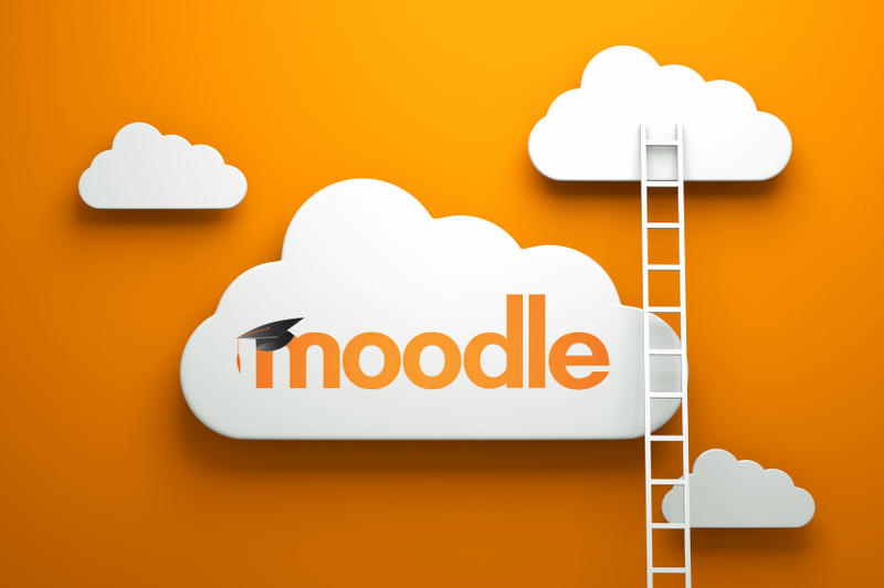 moodle-ladders